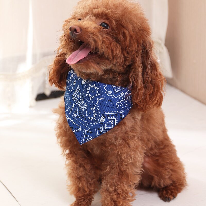 

Flower Print Pet Bandana Collar, Blue