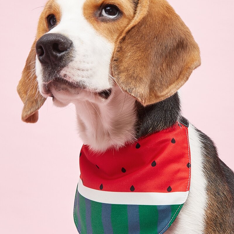 

Watermelon Design Pet Bandana, Red