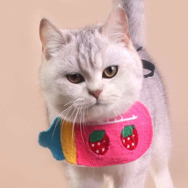 

Feeding Bottle Shaped Pet Bandana, Multicolor