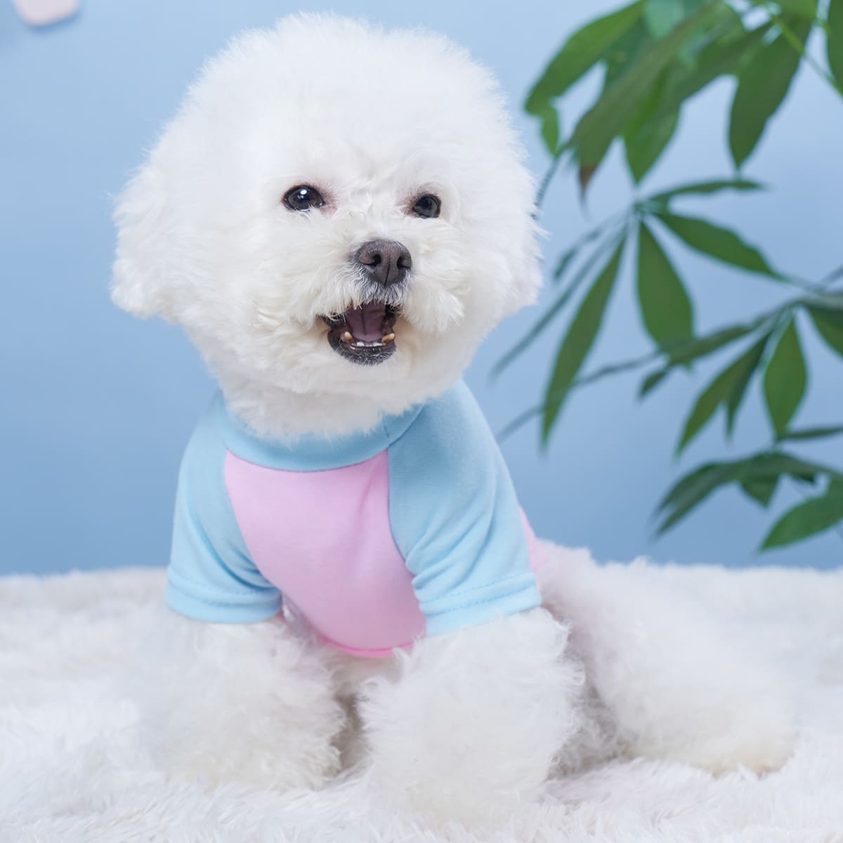 

Heart Print Pet Tee, Pink