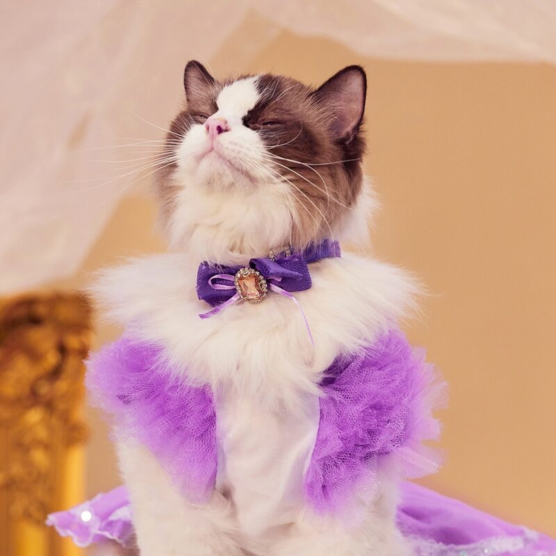 

Rhinestone Decor Pet Bow, Purple