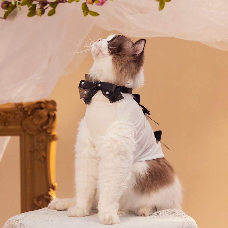 

Pearl Decor Pet Wedding Bow, Black