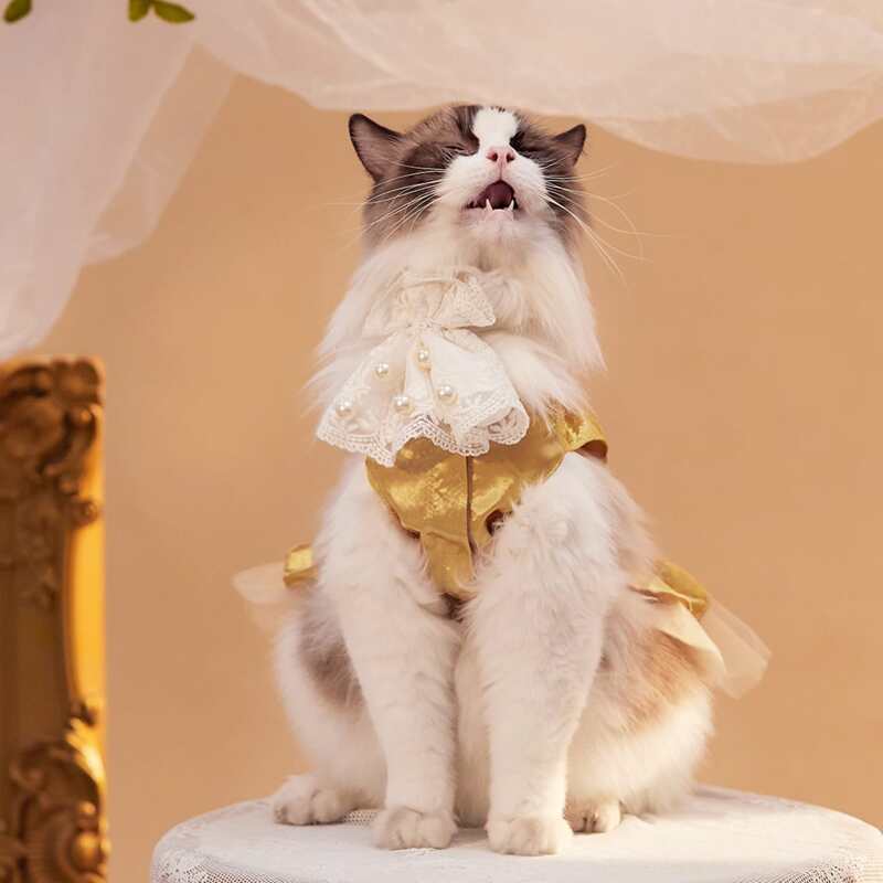 

Pearl Decor Pet Wedding Bow, White