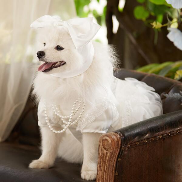 

1pc 3 Layer Pet Pearl Necklace, White