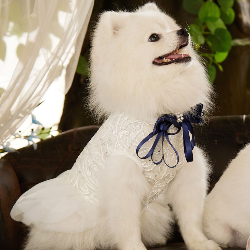 

Pearl Decor Pet Wedding Bow, Navy blue