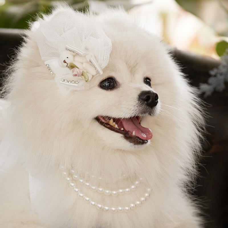 

Bear Decor Pet Hair Clip, White
