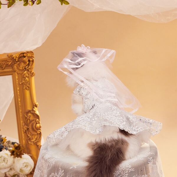 

1pc Lace Pet Wedding Veil, Pink