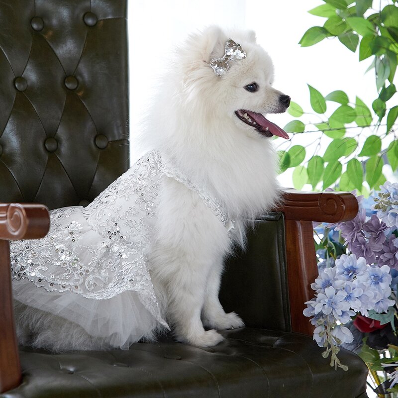 

Sequin Lace Pet Wedding Dress, White