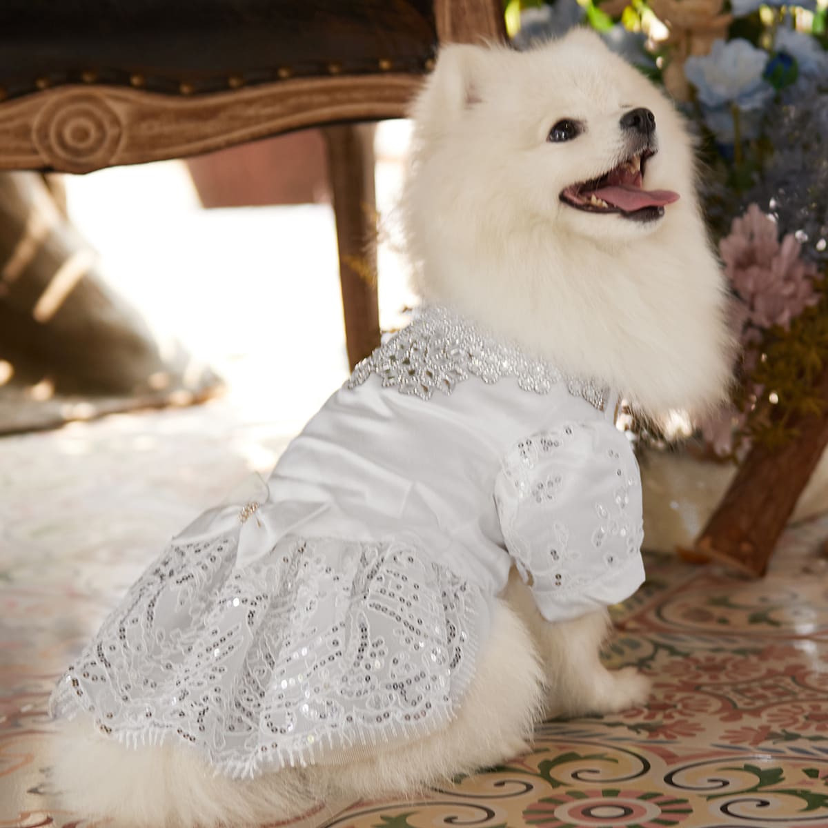 

Bow Decor Sequin Pet Wedding Dress, White
