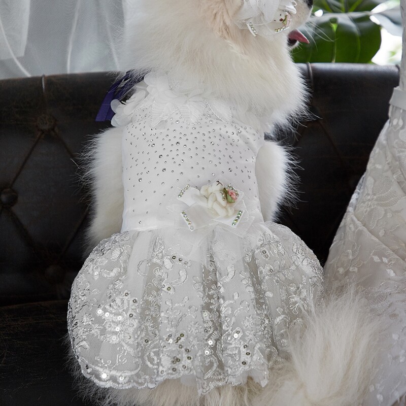 

Plush Bear Detail Pet Wedding Dress, White