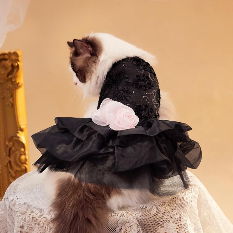 

Sequin Pet Lace Wedding Dress, Black