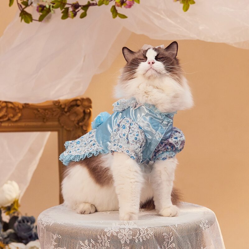 

Flower Print Lace Pet Dress, Blue