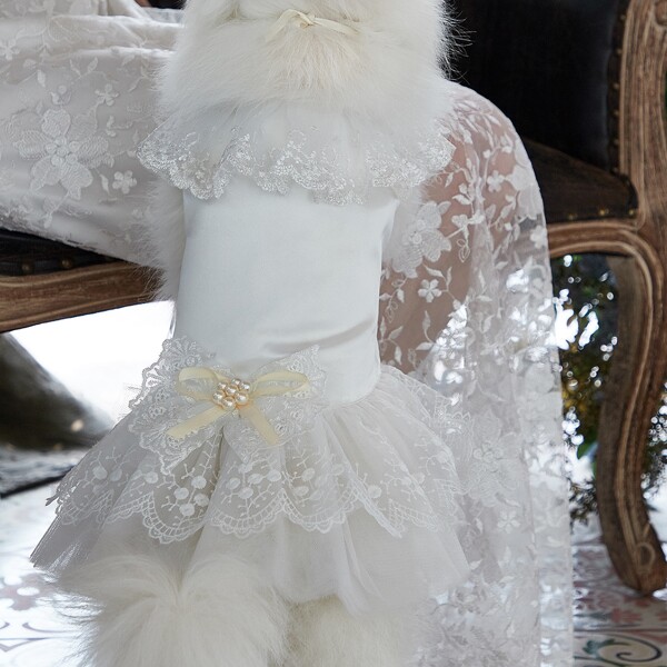 

Bow Decor Pet Wedding Dress, White
