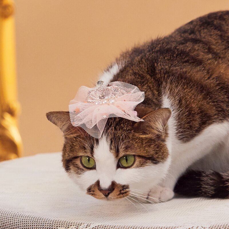 

Pet Wedding Lace Crown, Pink