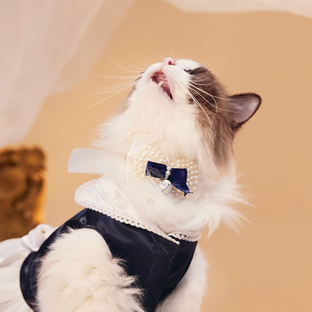 

Faux Pearl Decor Pet Bow, Blue