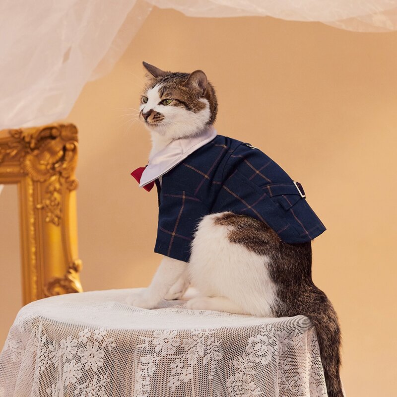 

Bow Decor Pet Wedding Suit, Blue