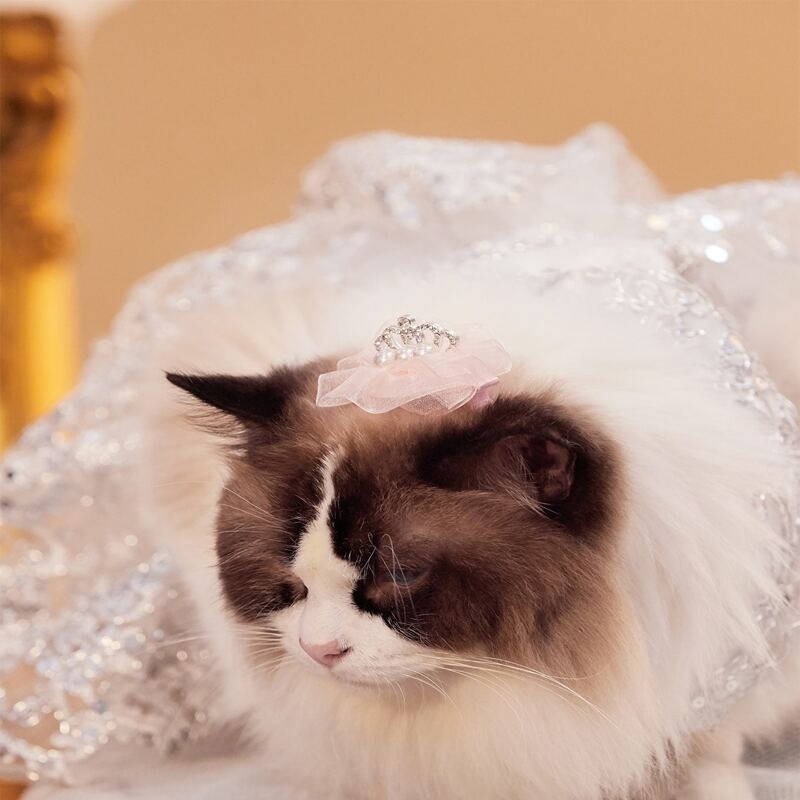

Pet Wedding Lace Crown, Pink