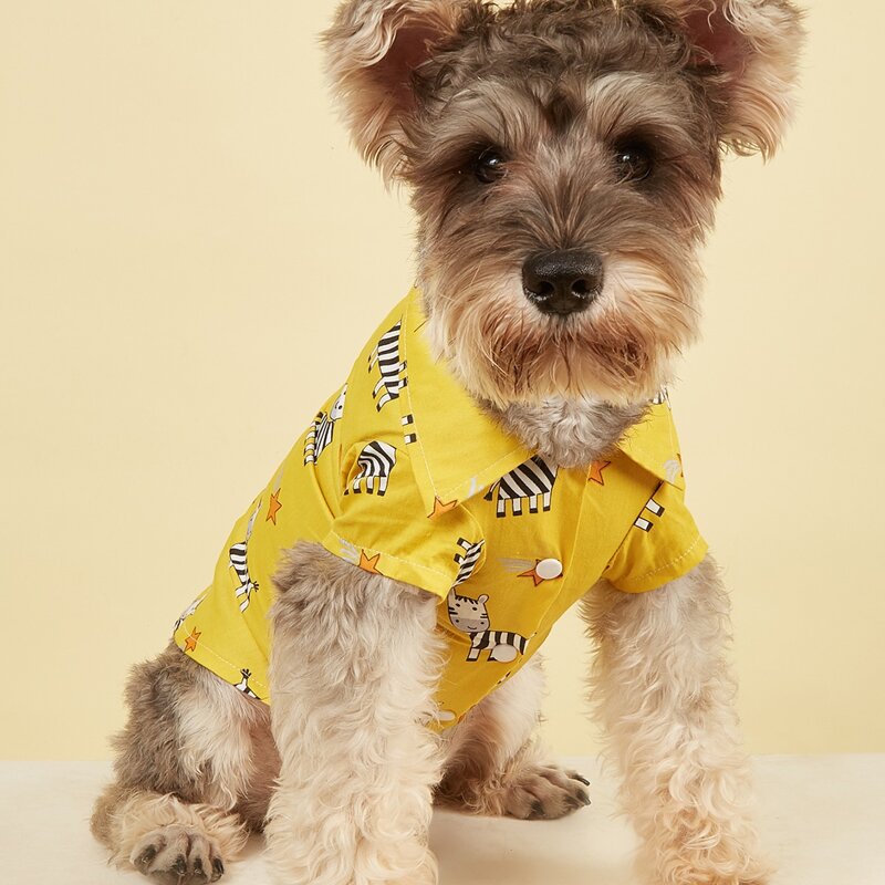 

Cartoon Zebra Print Pet Shirt, Yellow