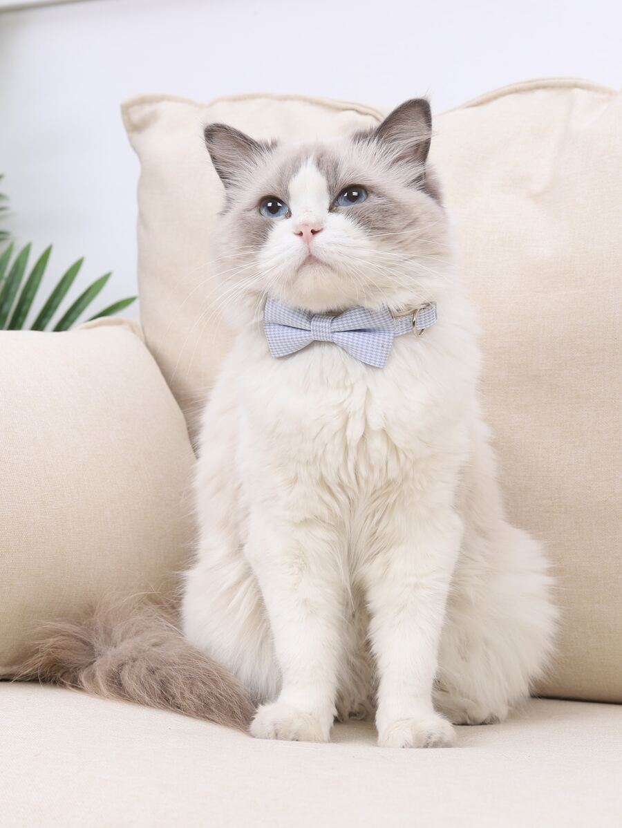1pc Houndstooth Pattern Bow Pet Collar With Traction Buckle For Decoration - Blue - View 1