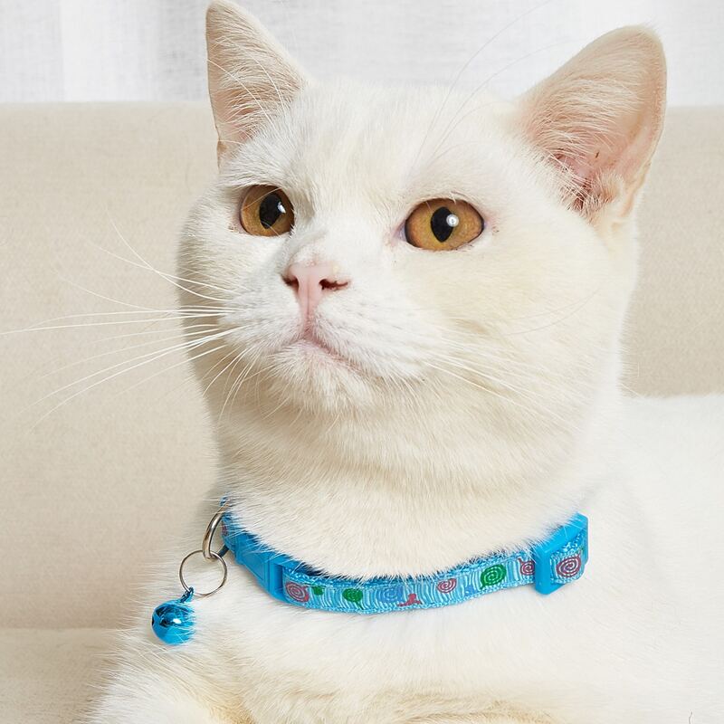 

Lollipop Print Bell Pet Collar, Blue