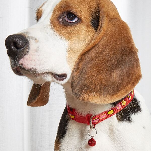 

Mushroom Print Bell Pet Collar, Red