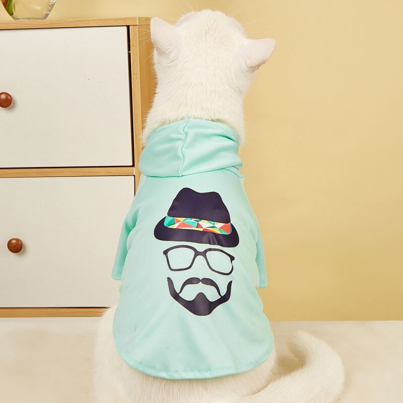 

Figure Graphic Pet Hoodie, Green