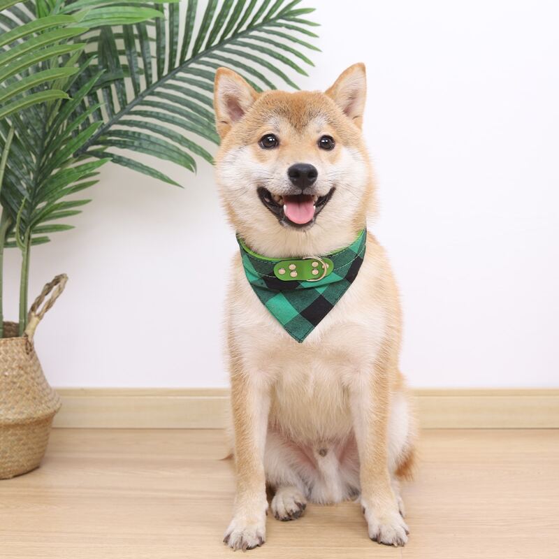 

Plaid Scarf Pet Collar, Green