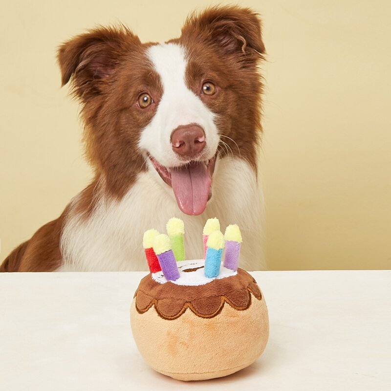 

Cake Shaped Pet Plush Toy, Multicolor