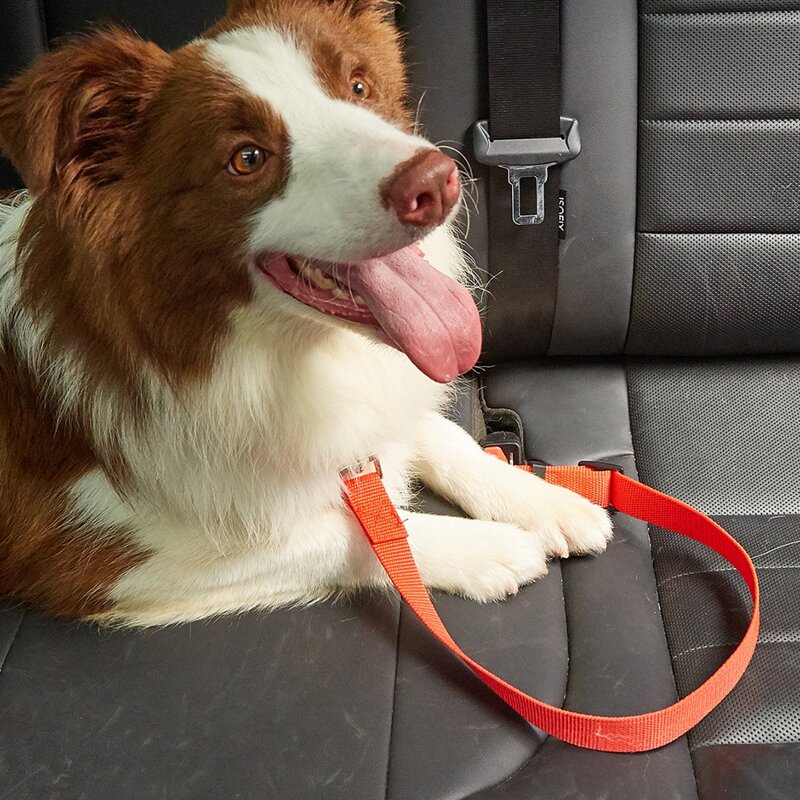 

1pc Plain Pet Seat Belt, Red