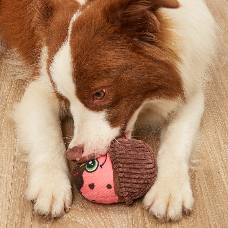 

1pc Cake Shaped Pet Sound Toy, Multicolor