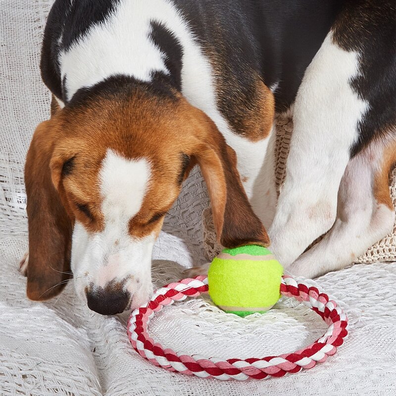 

1pc Rope Ball Pet Chew Toy, Multicolor
