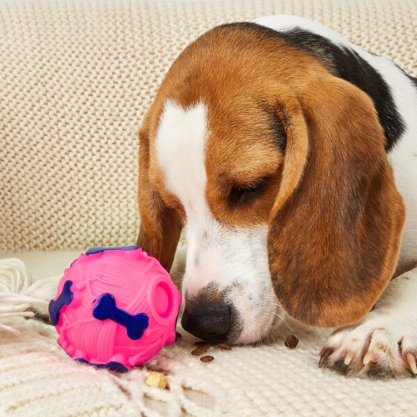 

1pc Leaking Food Pet Training Toy, Multicolor