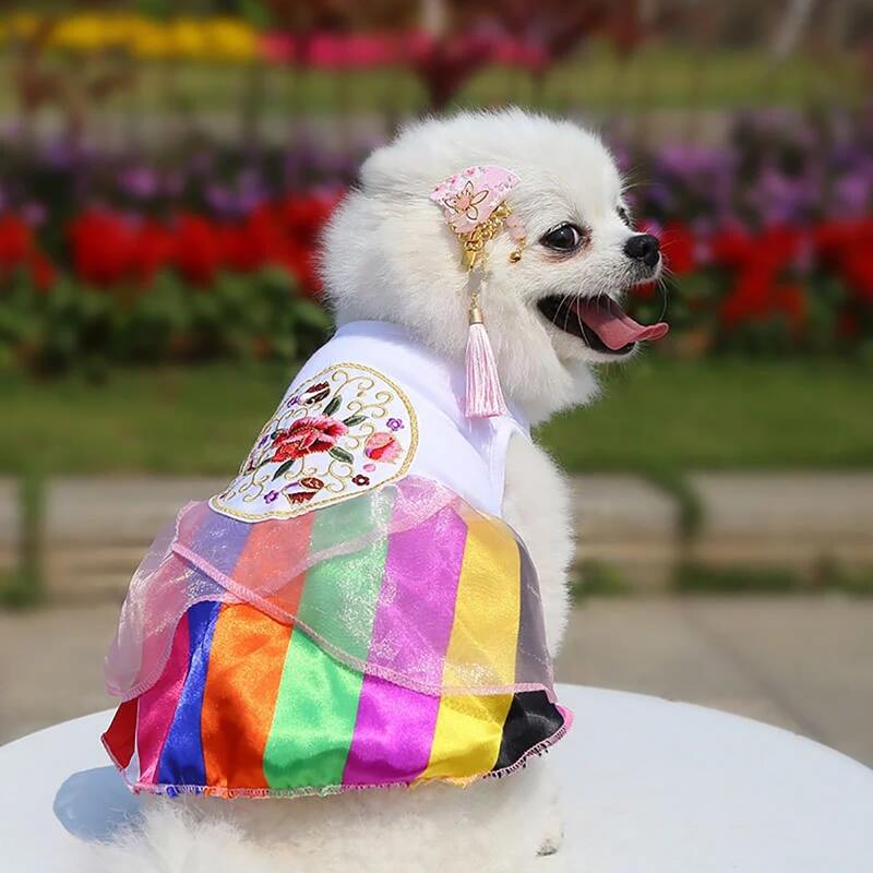 

Flower Embroidery Pet Dress, Multicolor