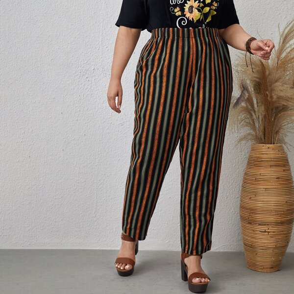 

Plus Colorful Stripe Straight Leg Pants, Multicolor