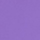 Violet Purple