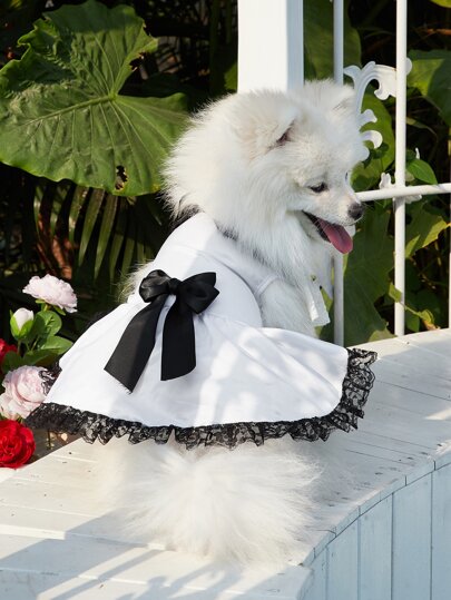 القوس الديكور فستان زفاف الحيوانات الأليفة