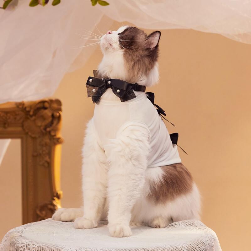 

Bow Decor Pet Tank, White