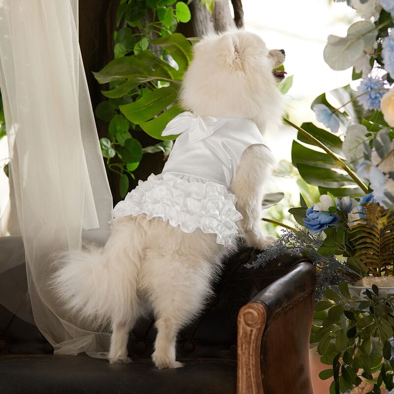 

Bow Decor Pet Wedding Dress, White