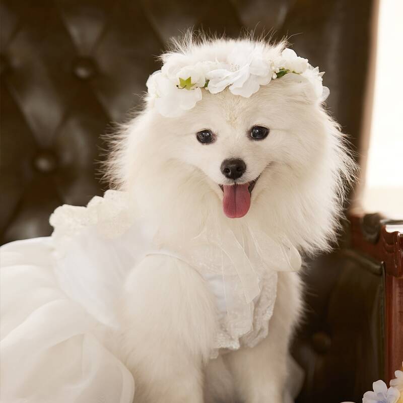 

1pc Artificial Wreath Pet Headwear, White