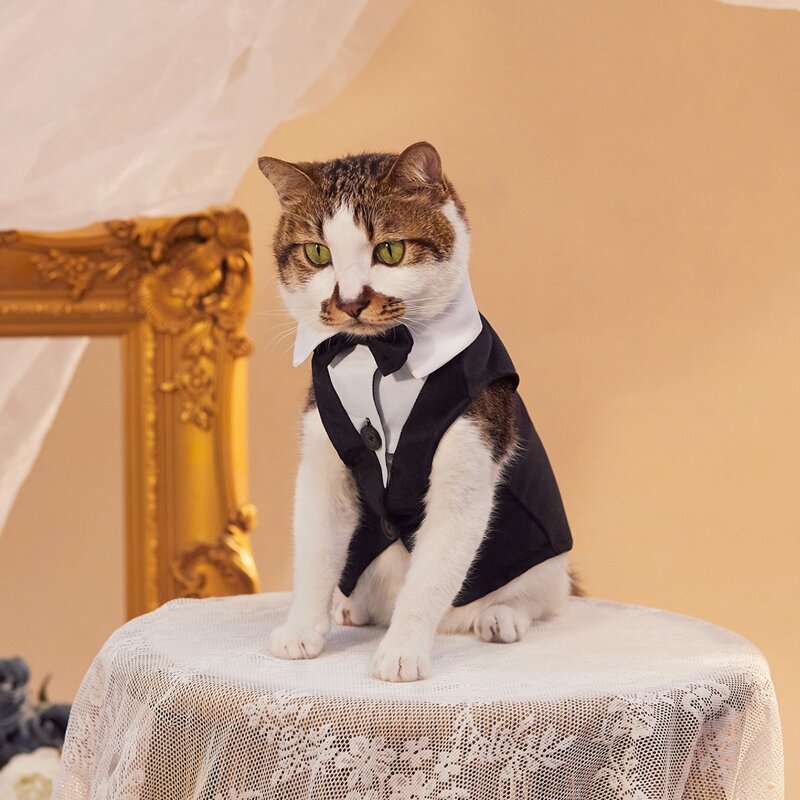 

Bow Decor Pet Wedding Suit, Black