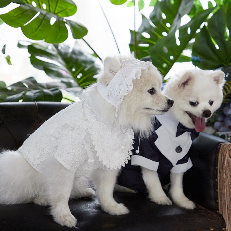 

Bow Decor Pet Wedding Suit, Navy blue
