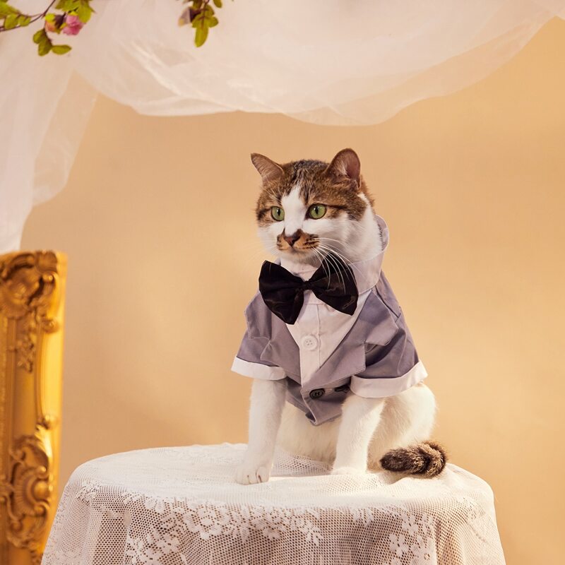 

Bow Decor Pet Wedding Suit, Grey