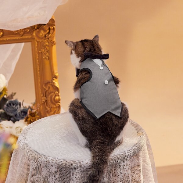 

Bow Decor Pet Wedding Vest, Grey