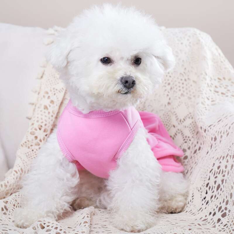 

Lollipop Print Pet Dress, Pink