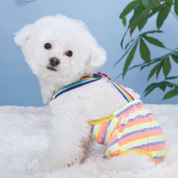 

Rainbow Stripe Pattern Pet Sanitary Pant, Multicolor