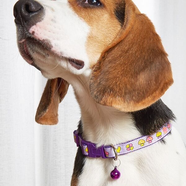 

Mushroom Print Pet Collar, Purple