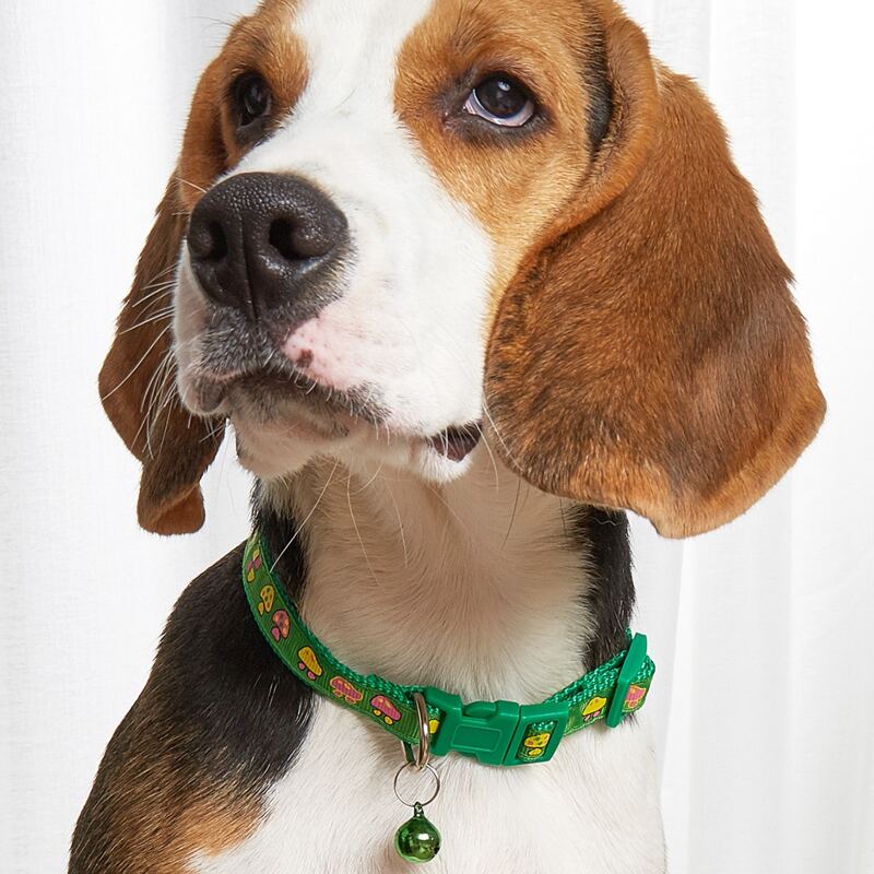 

Mushroom Print Pet Collar, Olive green
