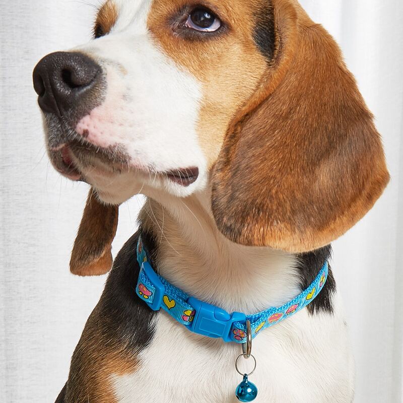 

Mushroom Print Pet Collar, Blue