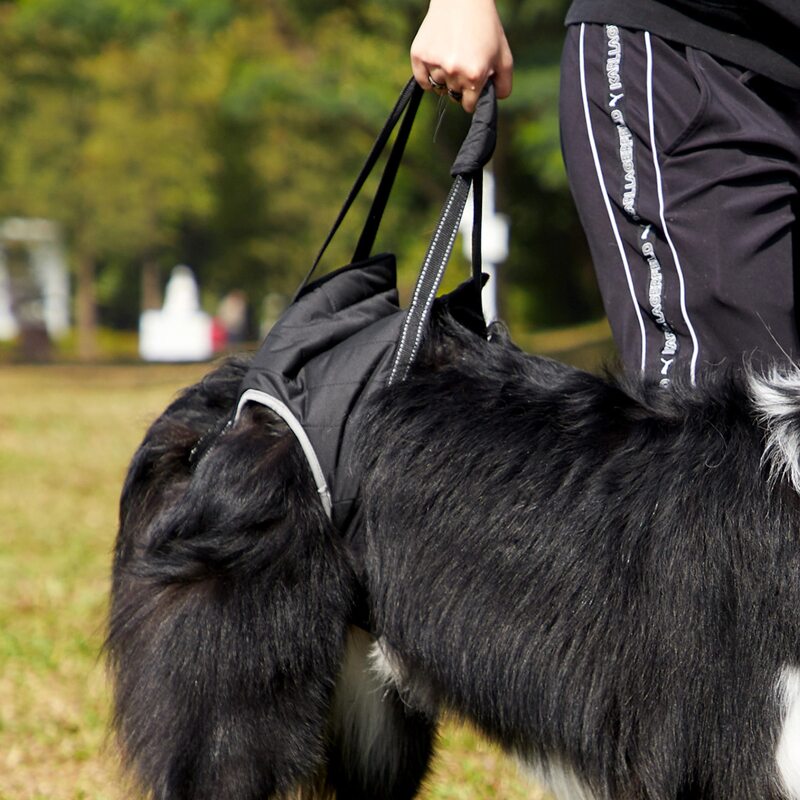 

1pc Pet Walking Aid Harness, Black