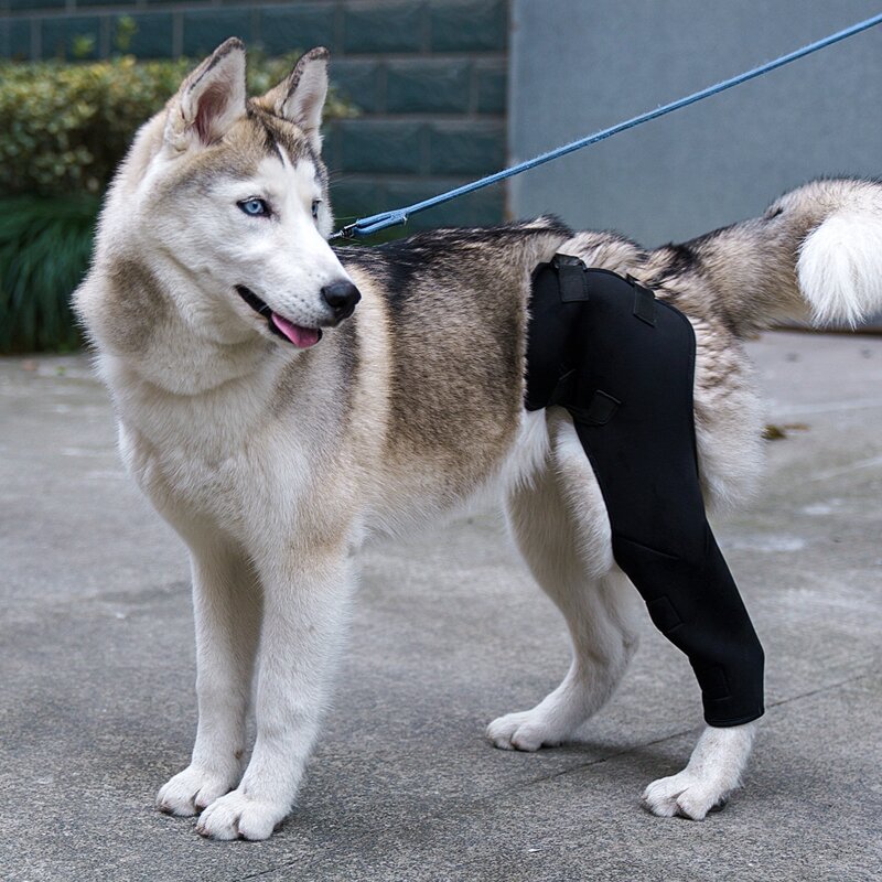 

Dog Left Leg Protection Pad, Black
